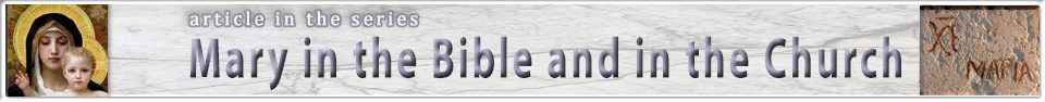 banner of the series: Mary in the Bible